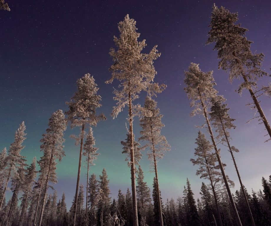 15 magical places to experience a Winter wonderland