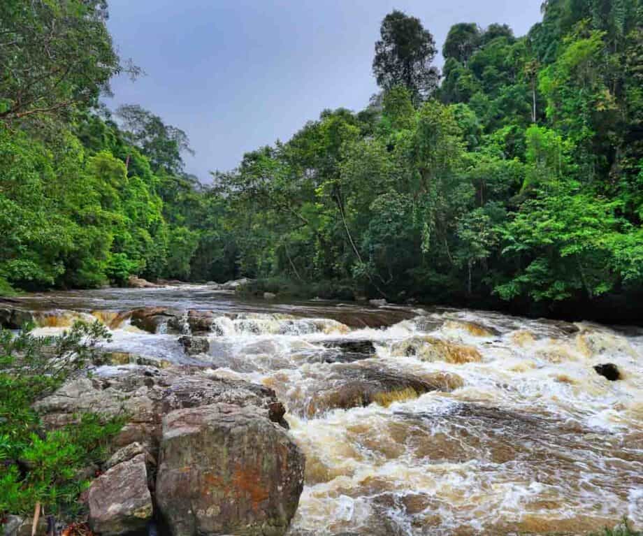 The rainforests, islands and beaches of Malaysia