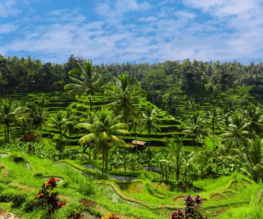 A tailor-made luxury Bali holiday